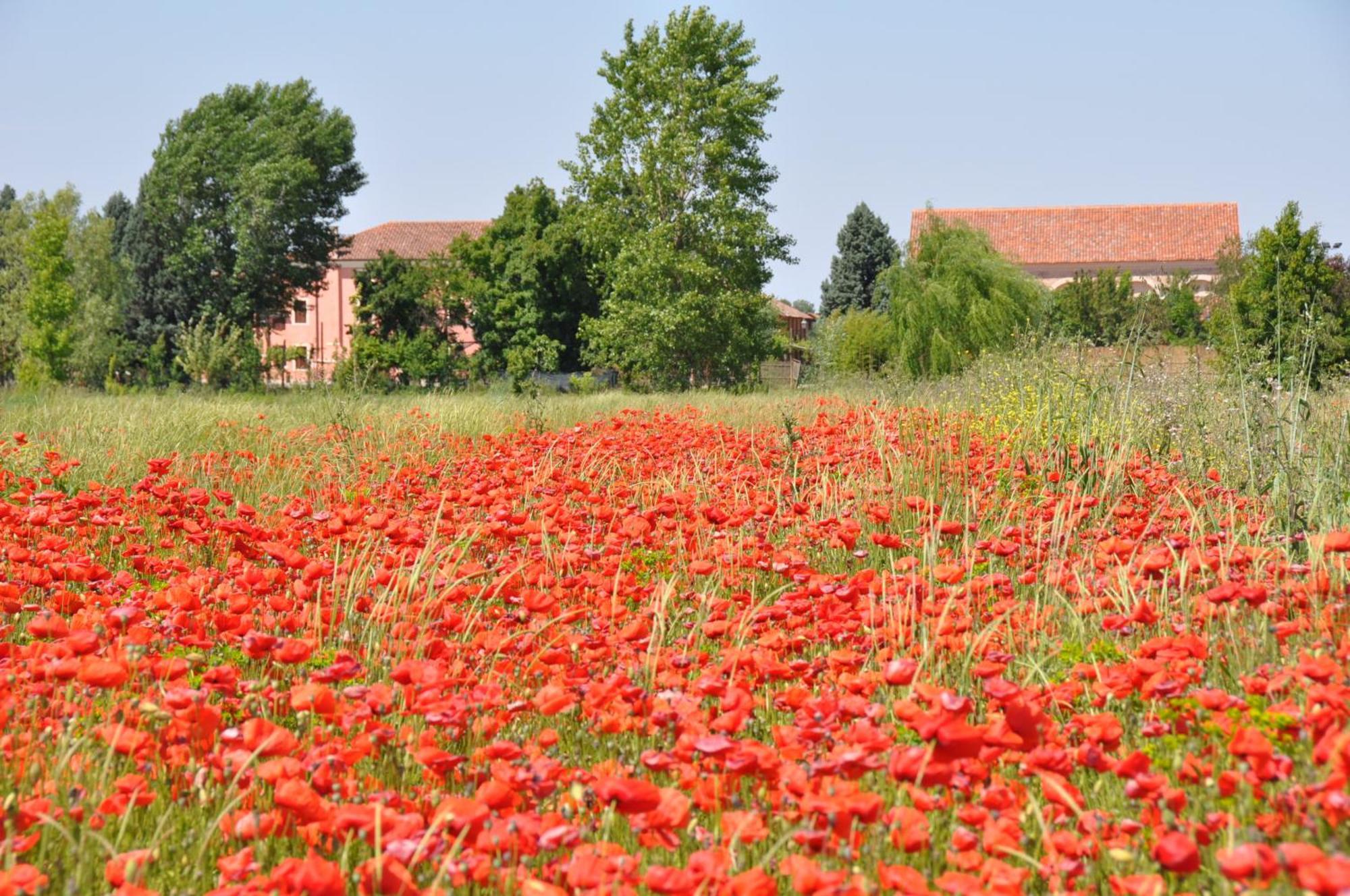 Bordeghina B&B In Farmhouse Pontecchio Polesine Екстер'єр фото